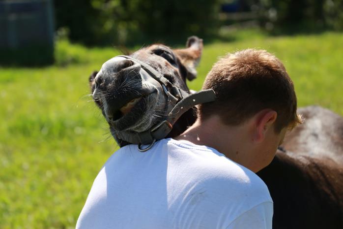 Adolescenti in difficoltà: progetto innovativo grazie alla pet therapy